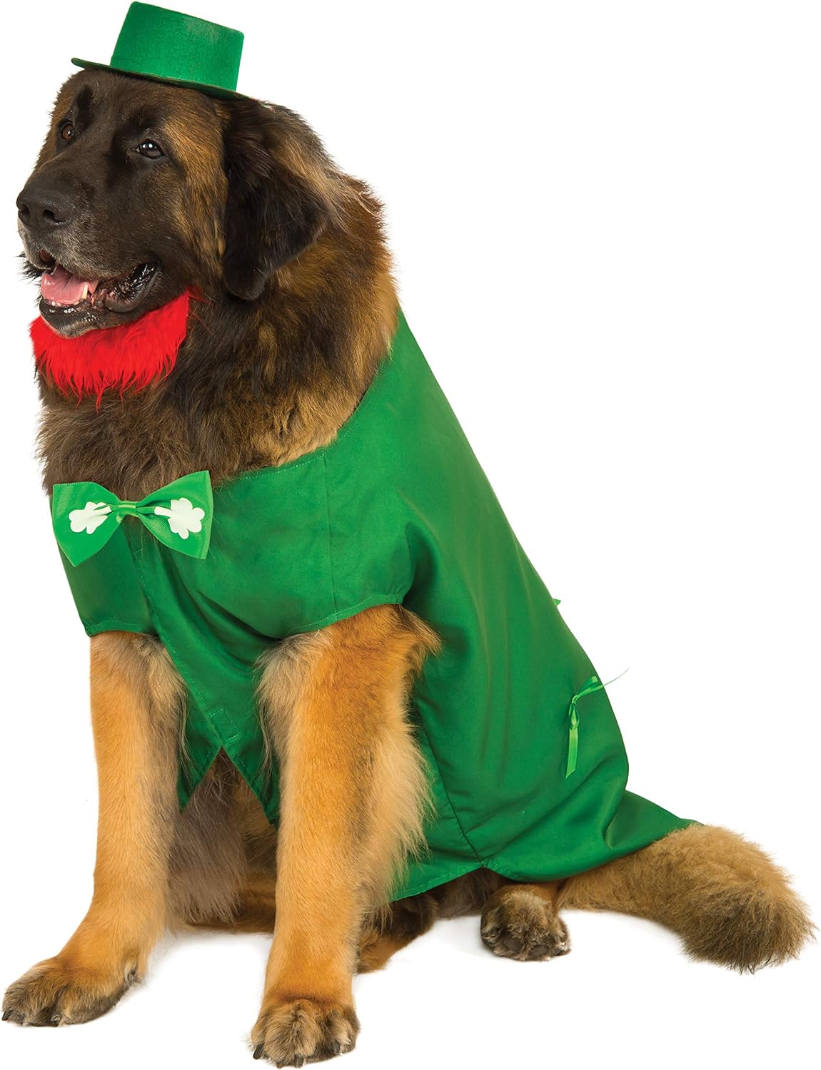 Leprechaun Pet Costume