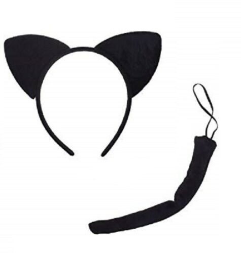 Cat Accessory Kit