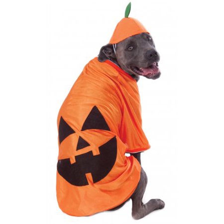 Pumpkin Pet Costume