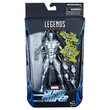Marvel Legends Series Silver Surfer