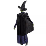 Wicked Elphaba