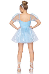 Frosted Organza Blue Babydoll Dress