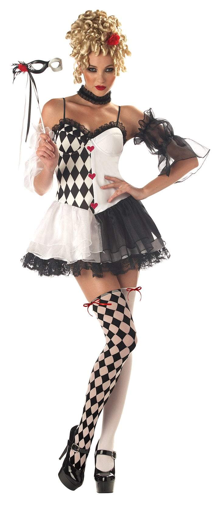 Le Belle Harlequin