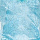 Frozen Elsa