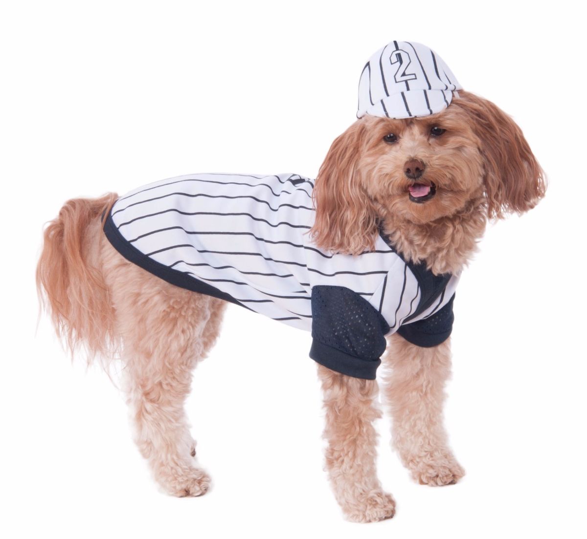 Baseball Pet Costume The Costume Kitty