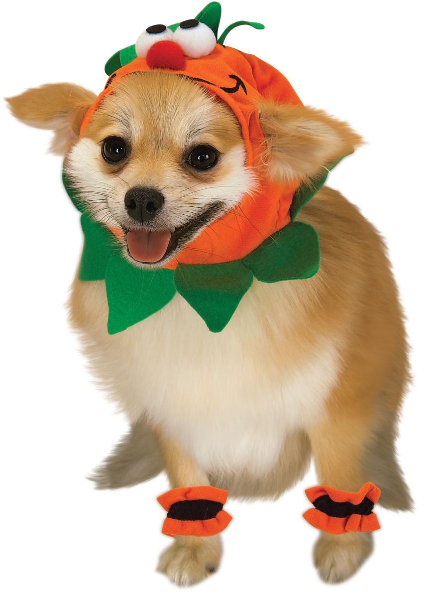 Pumpkin Pet Costume