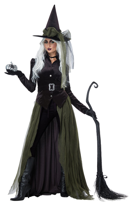 Gothic Witch costume by California Costumes, front view