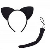Cat Accessory Kit